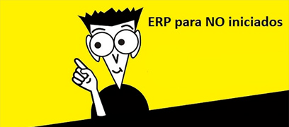 ERP para no iniciados