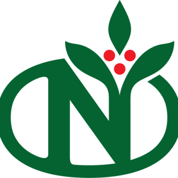N-Logo