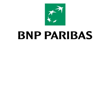 BNP-big